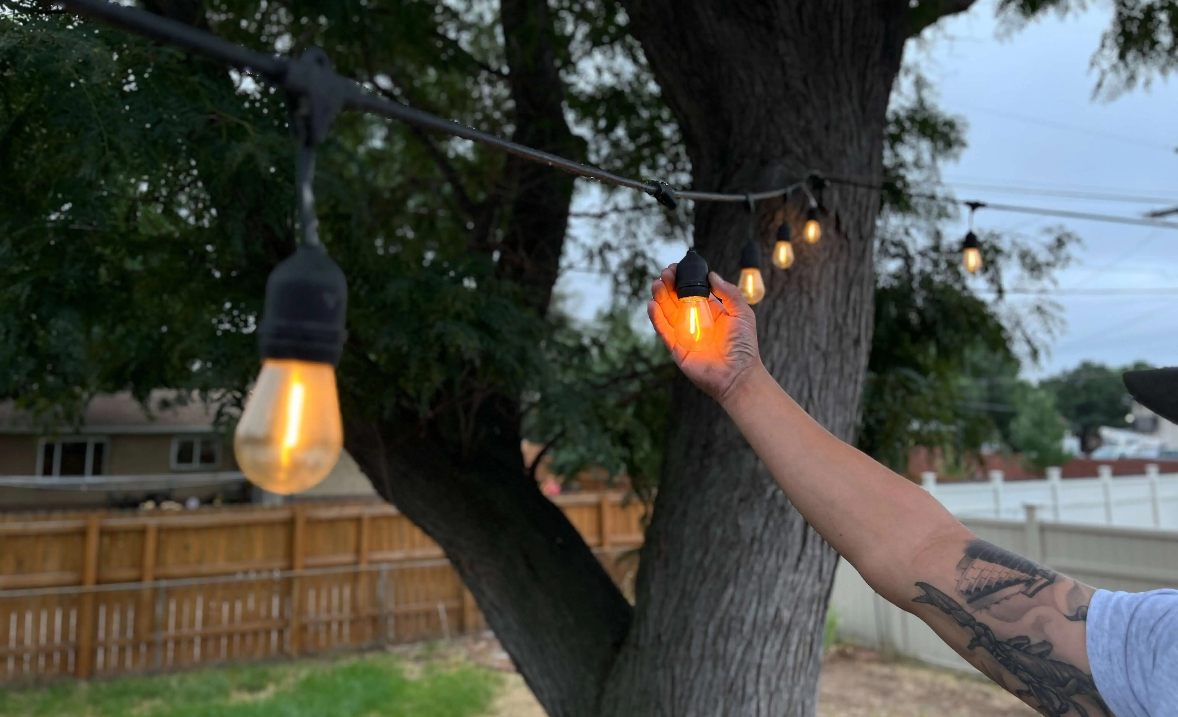 Hand holding a light bulb as a symbol of electrical services